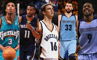 搜索量环比 搜索量环比